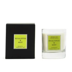 Świeca Santiago 230g Eucalyptus and mint CERERIA MOLLA / Przezroczysty  B3CM-5509