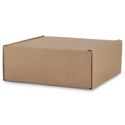 Wykonane na zamówienie pudełko upominkowe 24.3 x 24.3 x 9.9 cm / Brązowy LT83219-N0051